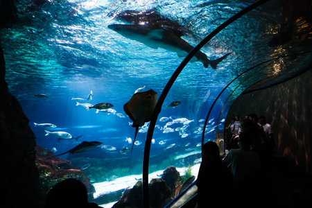 The Aquarium in Barcelona. The Barcelona Aquarium in the Port Vell of Barcelona, Spain.