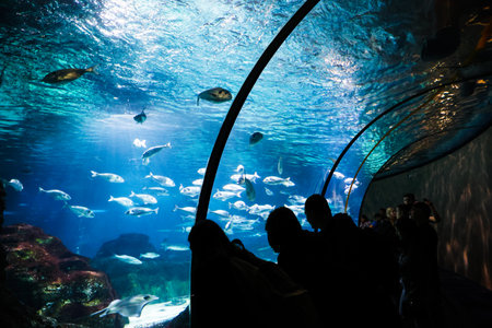 The Barcelona Aquarium in the Port Vell of Barcelona, Spain.のeditorial素材