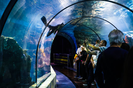 The Aquarium in Barcelona. The Barcelona Aquarium in the Port Vell of Barcelona, Spain.のeditorial素材