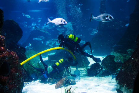 The Aquarium in Barcelona. The Barcelona Aquarium in the Port Vell of Barcelona, Spain.のeditorial素材