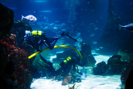 The Aquarium in Barcelona. The Barcelona Aquarium in the Port Vell of Barcelona, Spain.のeditorial素材