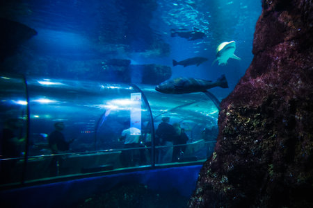 The Barcelona Aquarium in the Port Vell of Barcelona, Spain.のeditorial素材