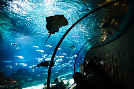 The Aquarium in Barcelona. The Barcelona Aquarium in the Port Vell of Barcelona, Spain.のeditorial素材