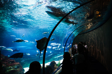 The Barcelona Aquarium in the Port Vell of Barcelona, Spain.のeditorial素材