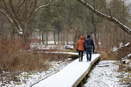 Couple walking on a wooden bridge in the park in winter.