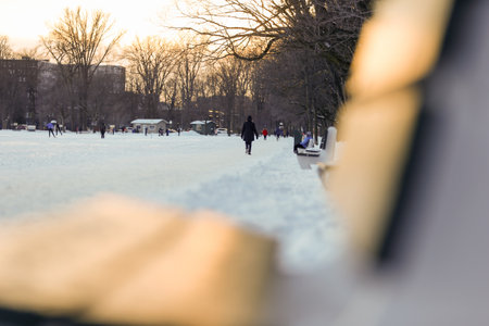 A woman walking in a park in winter. Beautiful winter scenery.の写真素材