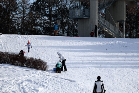 Children sledding in the snow in the park in the winter.