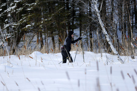 Man skiing in the forest on a sunny winter day.のeditorial素材