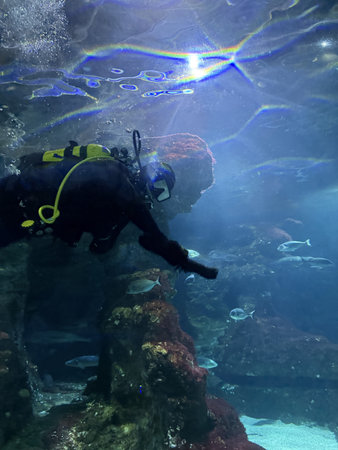Scuba diver looking at a fish in a deep water aquarium. A frogman in an aquarium.の写真素材