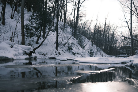 Frozen river in the winter forest. Beautiful winter landscape with frozen river. River in the winter...