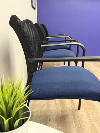 Blue chairs in a room with a plant. Interior of a waiting room with a chair and a flower