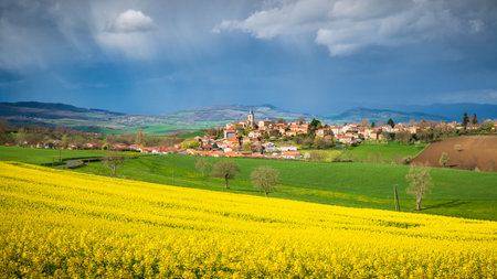 Rapeseed field in springtime, with medieval French village in the backgroundの写真素材