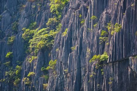 Closeup of a karst mountain , rock texture , backgroundの写真素材