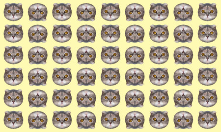Funny low polygonal cats heads on yellow background. Fashion art collage pattern.