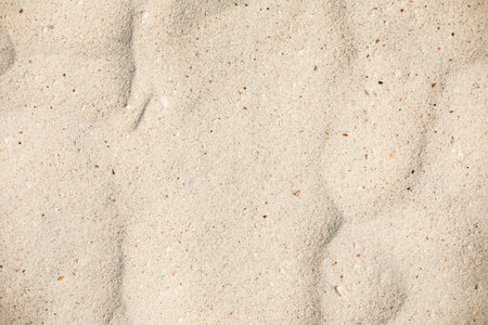 Sand waving texture. Sandy beach for background . Top viewの写真素材