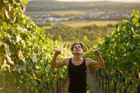 Happy sportsman rising his arms after running up the vineyardsの写真素材