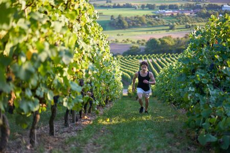 Good looking teenager sprinting up vineyards.の写真素材