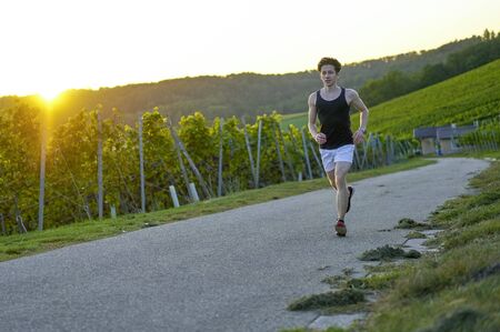 Sexy man in shorts running next to grapevines in sunset.の写真素材