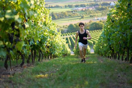 Dynamic man in shorts running up through grapevines in Germany.の写真素材