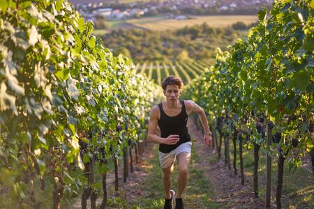 Young handsome, good looking man running through grapevines at vineyard in Germany.の写真素材