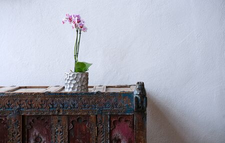 Beautiful orchid in pot on colorful shabby rustic furniture in front of white wall, copy spaceの写真素材