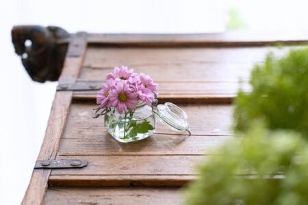 Beautiful flowers on wooden shabby furniture with greenery in foregroundの写真素材