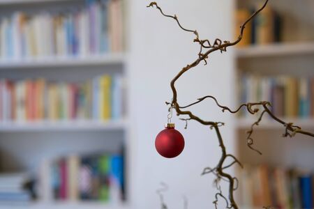 Close up of a red christmas ball at a branch in front of an unsharp background of bookshelvesの写真素材