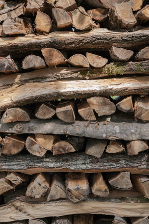 Pile of natural firewood in sunlight