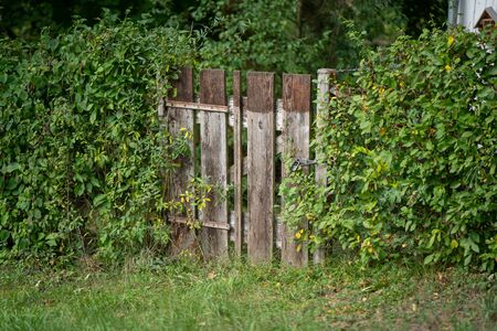 Wooden garden gate in idyllic country garden with green plants growing at a fenceの写真素材