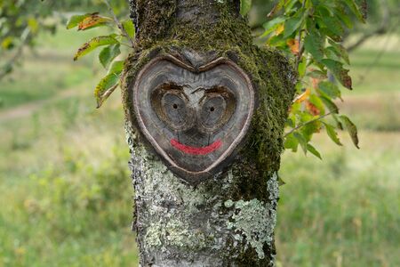 Beautiful natural heart with smiling face in old tree bark with moss and leaves in green natureの写真素材