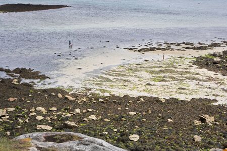 Beach at low tide in Brittany with sand,  stones and seaweed, people walking in the water, summer holiday feelingの写真素材
