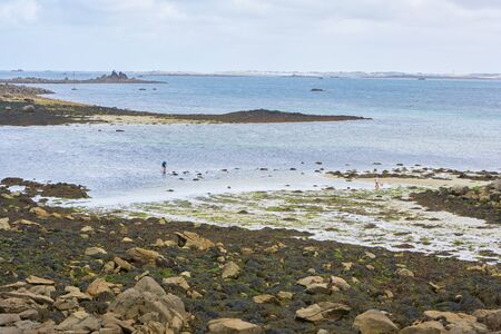 Bay in Brittany with sand, stones and seaweed, two people in the water and at the beach, view to the coast on opposite sideの写真素材