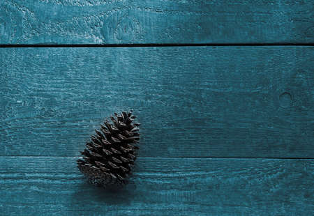 Bluegreen bright background of wooden textured boards with a fir coneの写真素材
