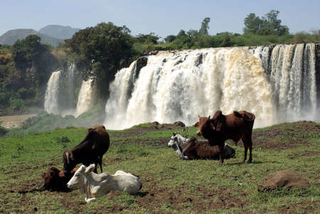 Waterfalls in Ethiopiaの写真素材