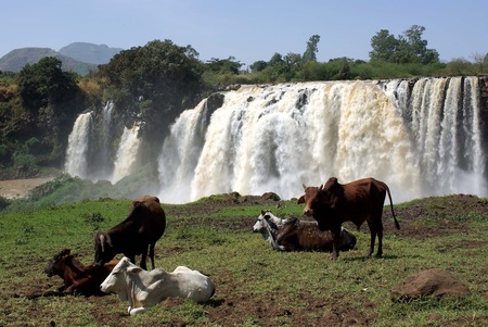 Waterfalls in Ethiopiaの写真素材