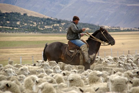 Rider in Chileのeditorial素材