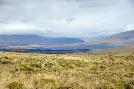 Landscape in Chile