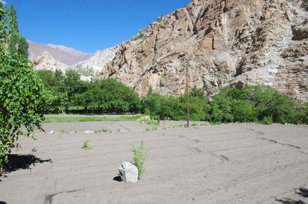 Agriculture in Ladakh, Indiaの写真素材