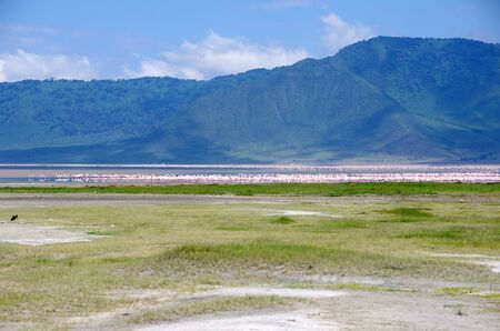 Landscape in the Ngorongoro crater in Tanzaniaの写真素材