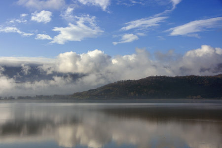 Winter landscape