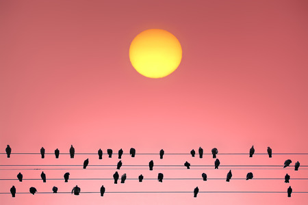 The Solar Spectatorsの写真素材