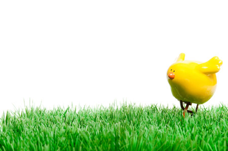 decoration with a small yellow chick for easterの写真素材