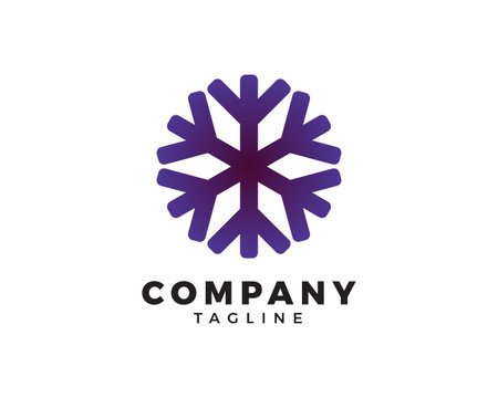 Snowflake Icon Vector  Templateのイラスト素材