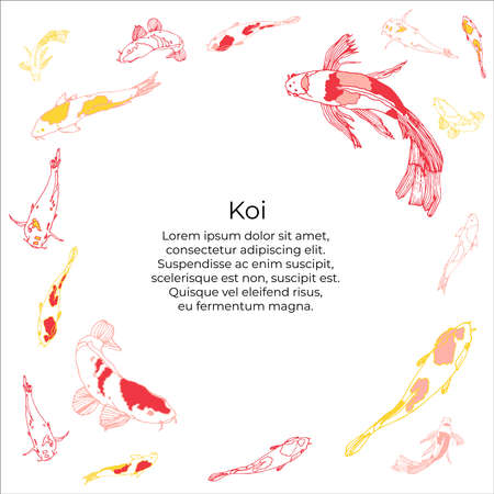 Carp koi hand drawn vector illustration. Carp koi with text space. Fishes swimming on circle.のイラスト素材