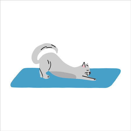 A grey cat streches on yoga carpet. vector handdrawn illustration.のイラスト素材