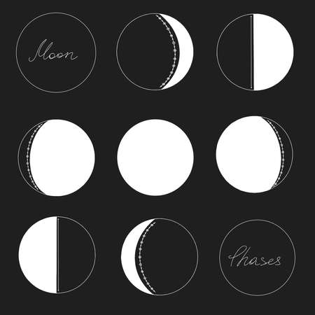 Vector illustration of moon phases from new moon to full moon with decorative elements.のイラスト素材