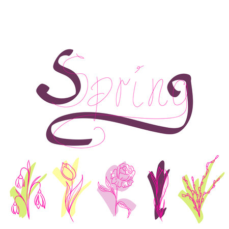 Spring banner with handdrawn lettering and flowers such as snowdrops, tulips, pions, willows, and phloxes.のイラスト素材