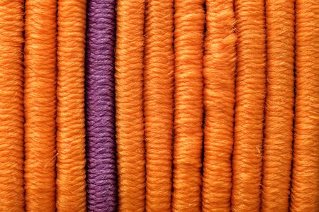 One lilac and many orange vertical straight elasticsの写真素材