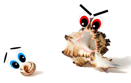 Little fearful sea shell with big blue eyes and big angry shell with red eyesの写真素材