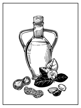 Vertical vector illustration. Composition with a glass bottle of peanut oil, branch with leaves and flower, peanut nuts.のイラスト素材